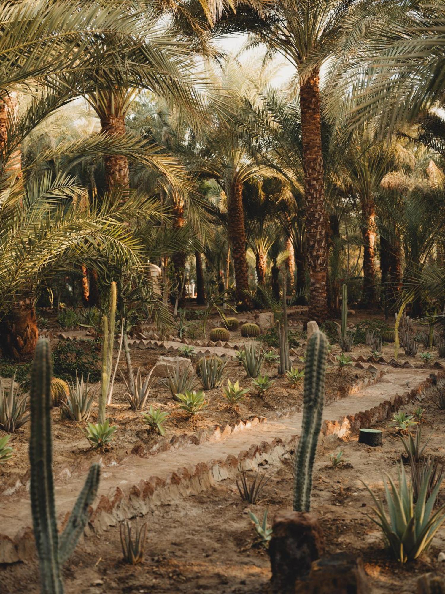 Al Moudira Hotel ลักซอร์ ภายนอก รูปภาพ